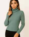 Alina Turtleneck Pullover Sweater