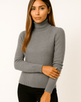 Alina Turtleneck Pullover Sweater