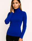 Alina Turtleneck Pullover Sweater