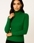 Alina Turtleneck Pullover Sweater