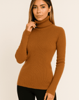 Alina Turtleneck Pullover Sweater