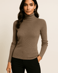 Alina Turtleneck Pullover Sweater