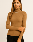 Alina Turtleneck Pullover Sweater