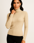 Alina Turtleneck Pullover Sweater