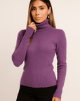Alina Turtleneck Pullover Sweater