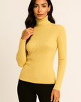 Alina Turtleneck Pullover Sweater